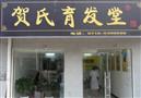 贺氏育发堂