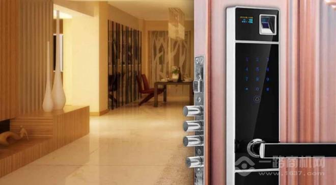 德尔纹智能锁 德尔纹智能锁