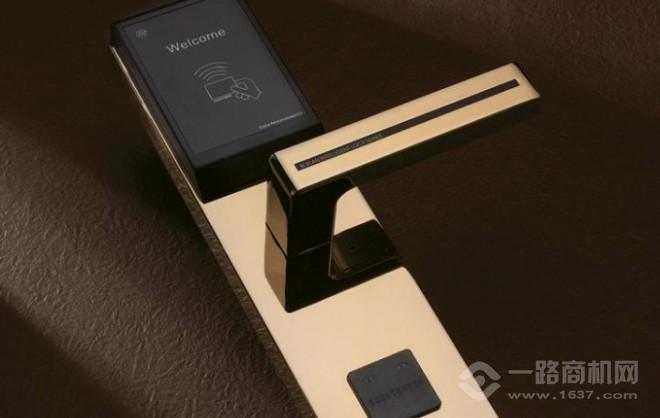 德尔纹智能锁 德尔纹智能锁