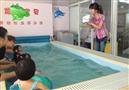 龙凤宝贝婴儿游泳馆