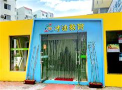 才迪教育