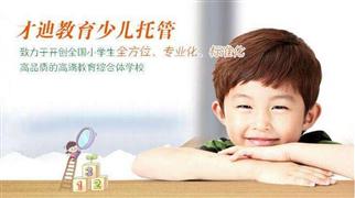 才迪教育