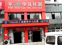 才迪教育