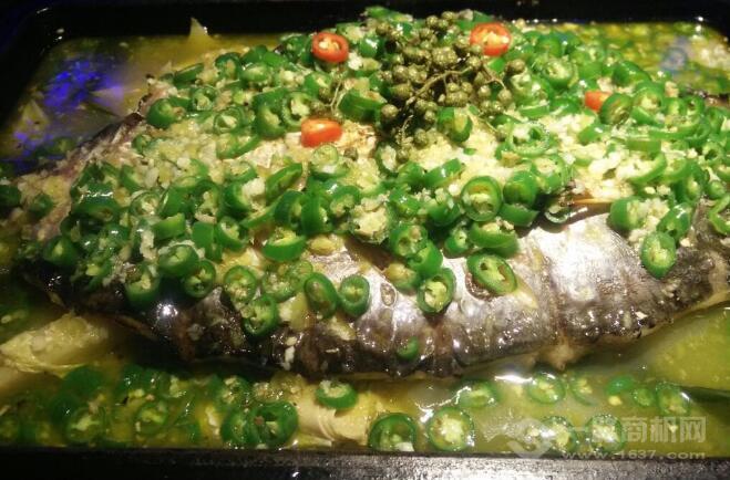 300度烤魚加盟