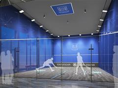 鷹飛九天壁球會