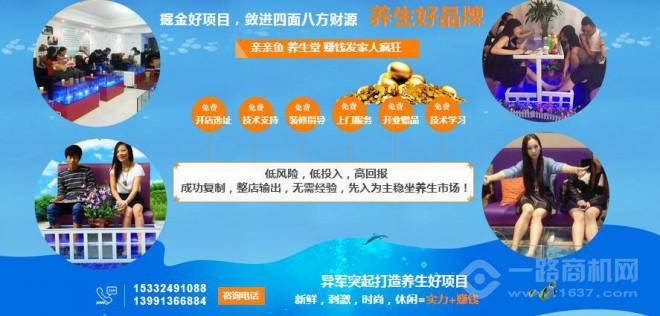 亲亲鱼疗加盟 亲亲鱼疗加盟