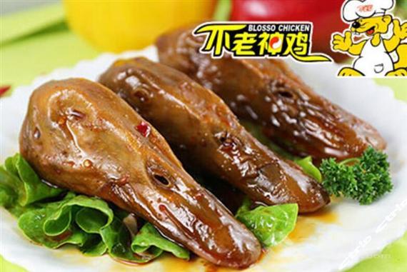 不老神鸡