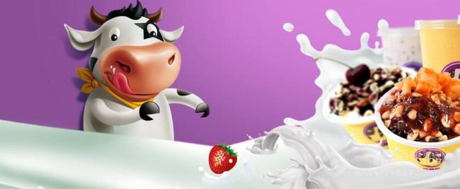 一只酸奶牛加盟