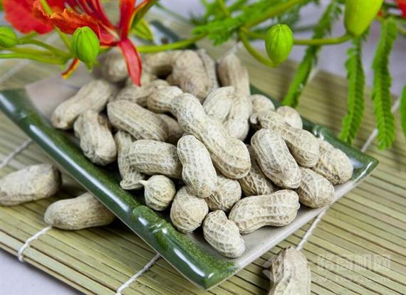 龙岩花生