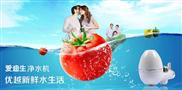 爱迪生净水器