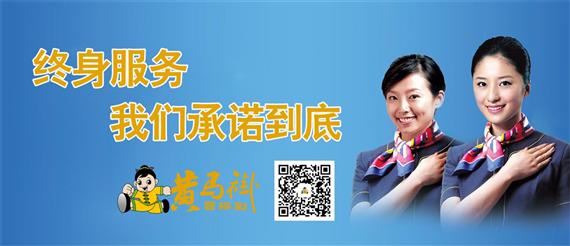 黄马褂曹操到家政