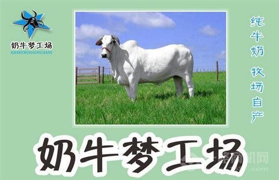奶牛梦工厂