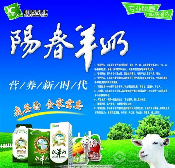 阳春羊奶