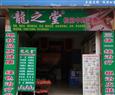 龙之堂