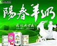 阳春羊奶