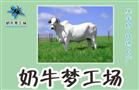 奶牛梦工厂