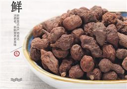 三江源冬蟲夏草