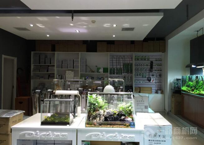 迪茨水族館 迪茨水族館