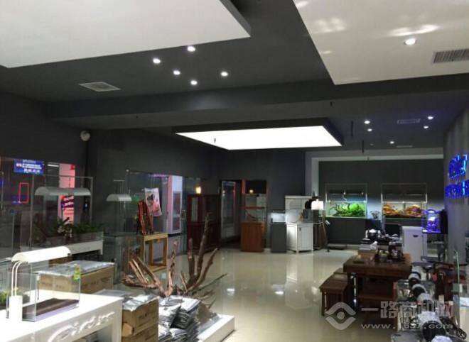 迪茨水族館 迪茨水族館