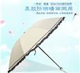 太阳城洋伞