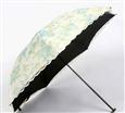 太阳城洋伞