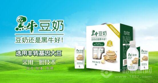 黑牛豆奶加盟