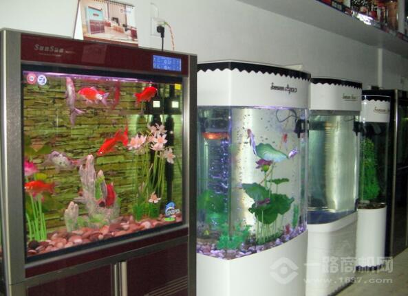 森森水族加盟 森森水族加盟