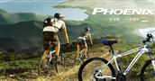 凤凰自行车