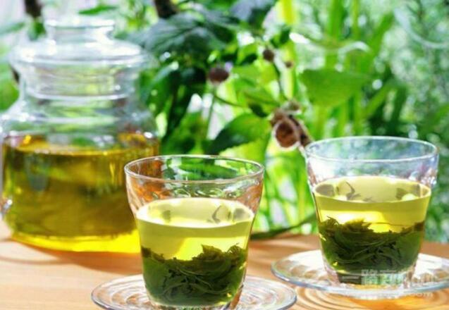 神农金康加盟 神农金康加盟