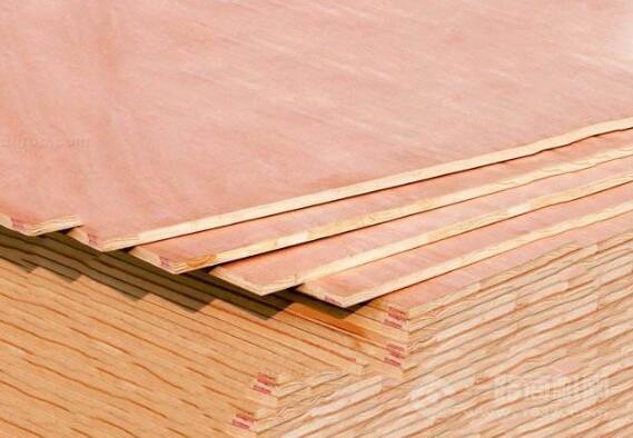 巨峰木業 巨峰木業