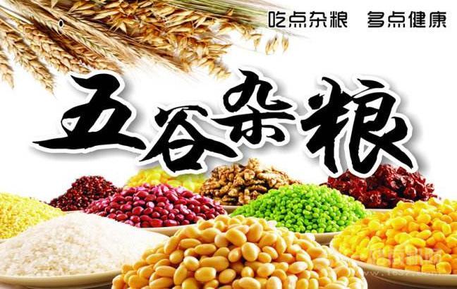 康达九洲加盟