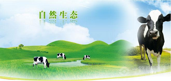 爱美乐奶粉加盟