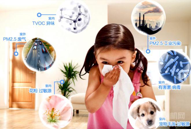 碧华空气净化 碧华空气净化