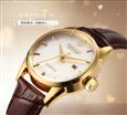 雷克斯手表
