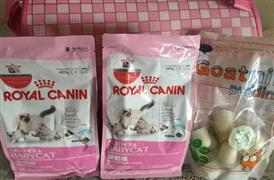 皇家貓糧