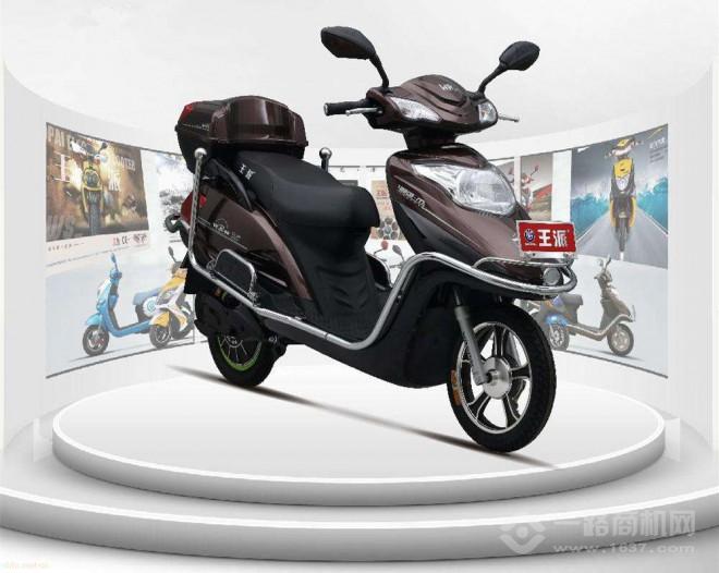 王派电动车加盟