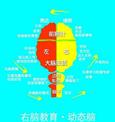 明镜右脑教育