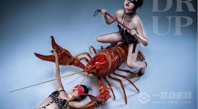 殼兒情趣主題餐廳