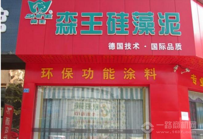 森王硅藻泥加盟