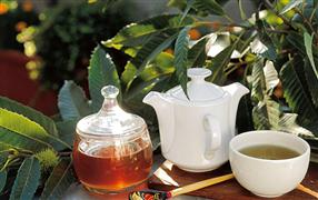 清心堂涼茶