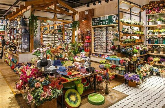 变色鸟DIY体验馆