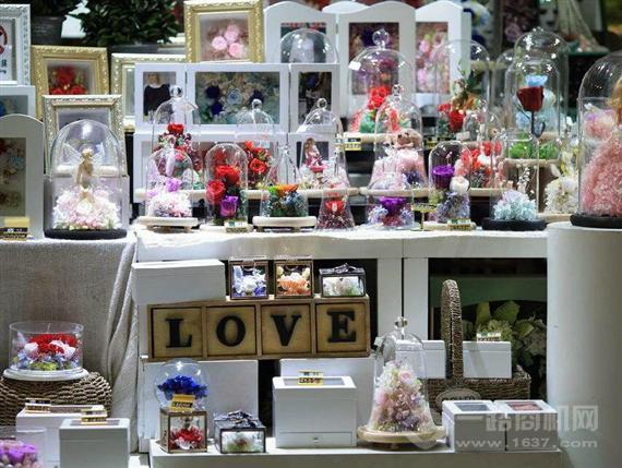 变色鸟DIY体验馆