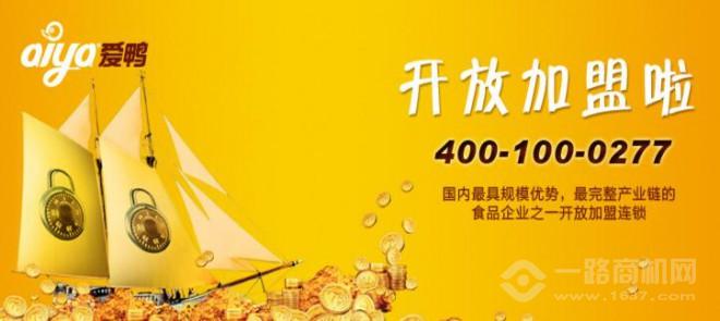 爱鸭黑鸭王加盟