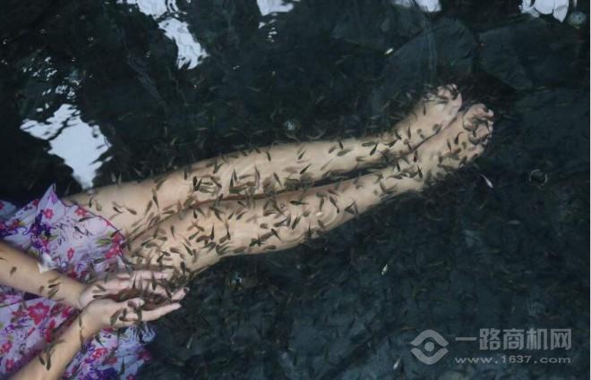 小魔魚養(yǎng)生堂