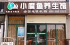 小魔鱼养生堂