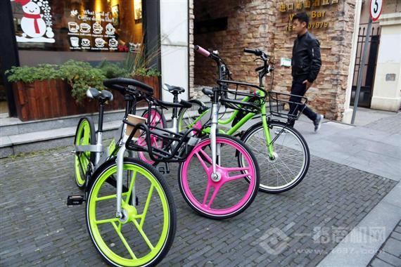 百拜单车