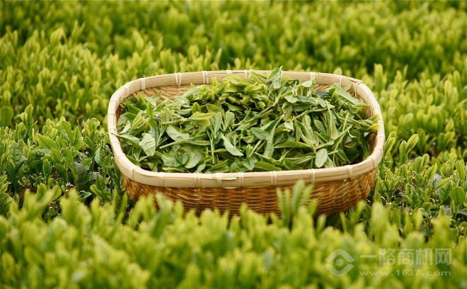 萧坛云雾 萧坛云雾