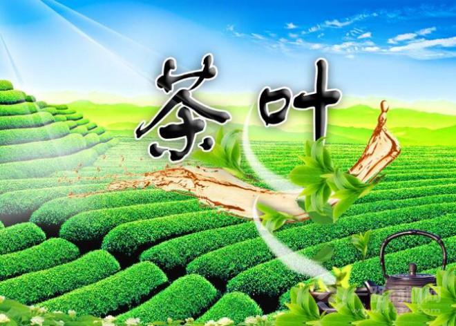 尧山茶业加盟