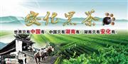 安化黑茶
