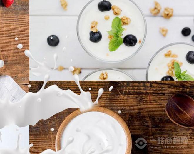 一朵奶牛加盟 一朵奶牛加盟